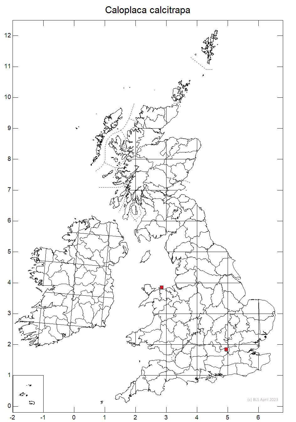 Caloplaca calcitrapa 10km sq distribution map