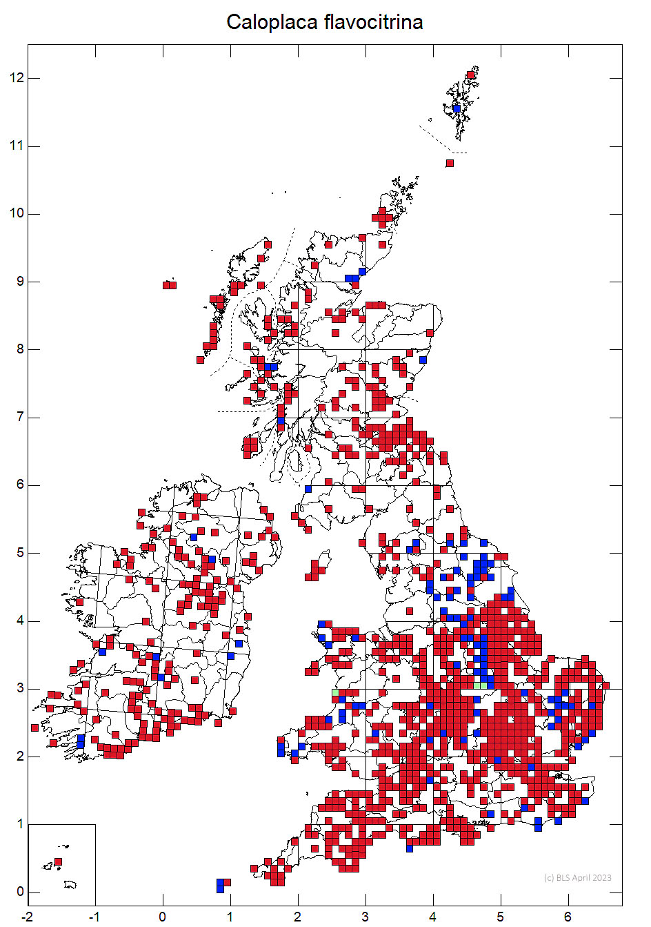 Caloplaca flavocitrina 10km distribution map