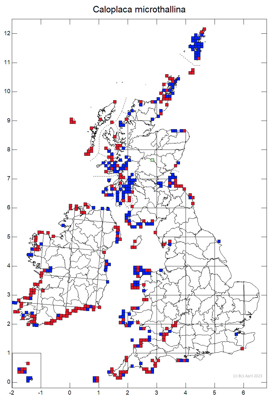 Caloplaca microthallina 10km sq distribution map