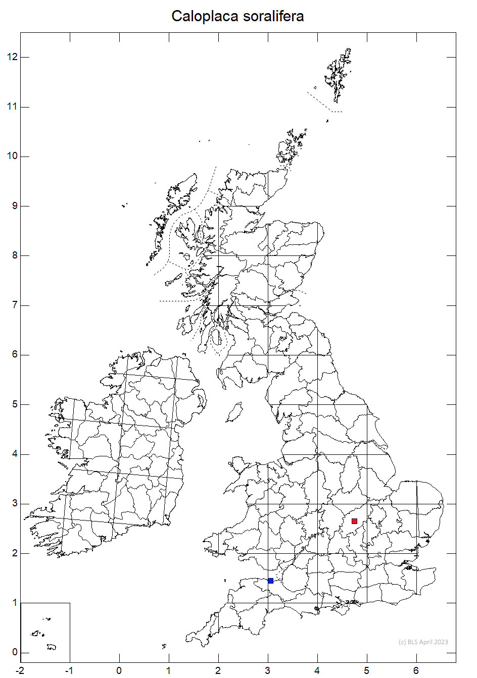 Caloplaca soralifera 10km distribution map