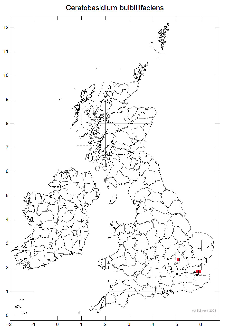 Ceratobasidium bulbillifaciens 10km distribution map