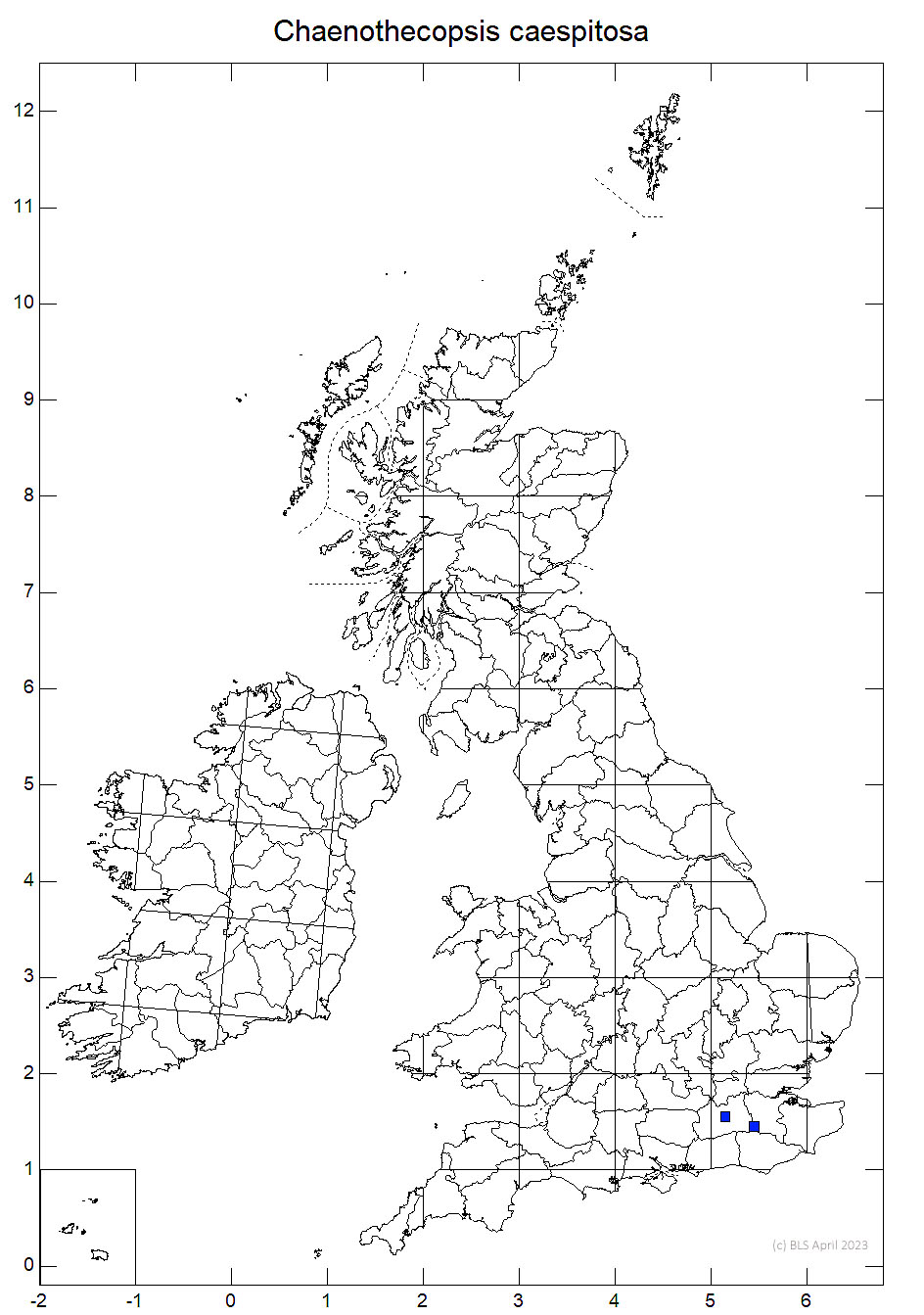 Chaenothecopsis caespitosa 10km sq distribution map
