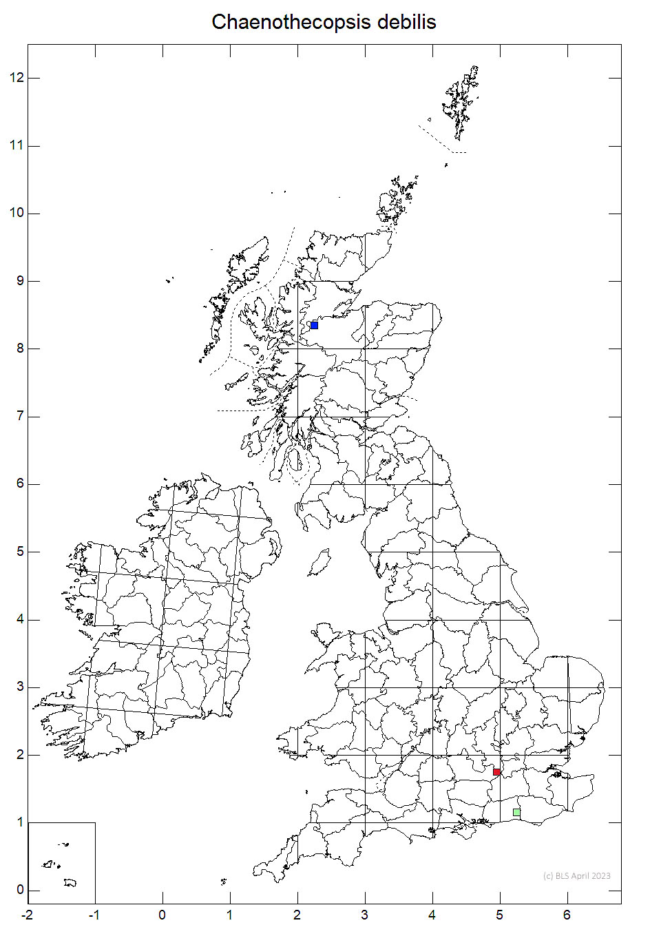 Chaenothecopsis debilis 10km sq distribution map