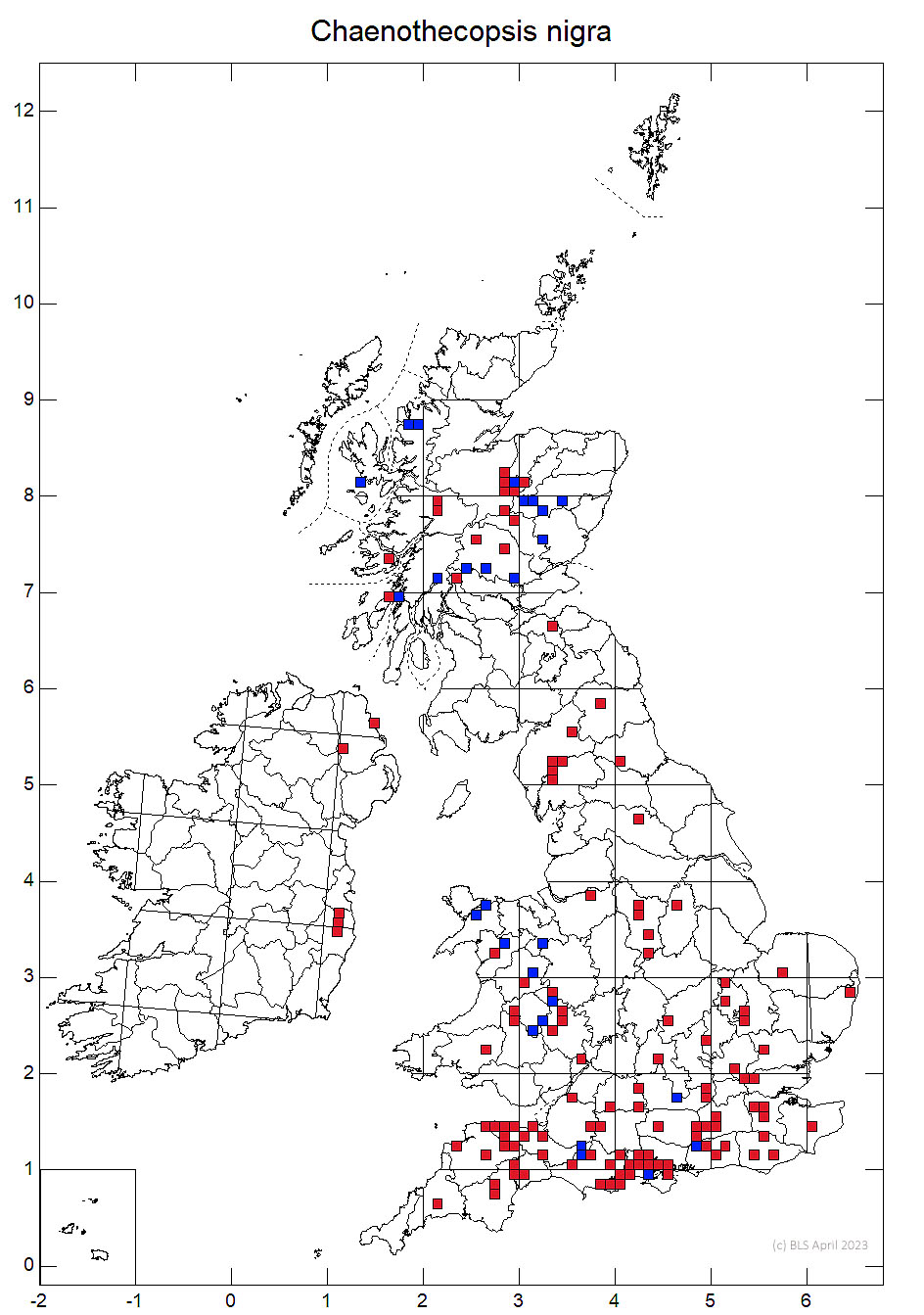 Chaenothecopsis nigra 10km sq distribution map