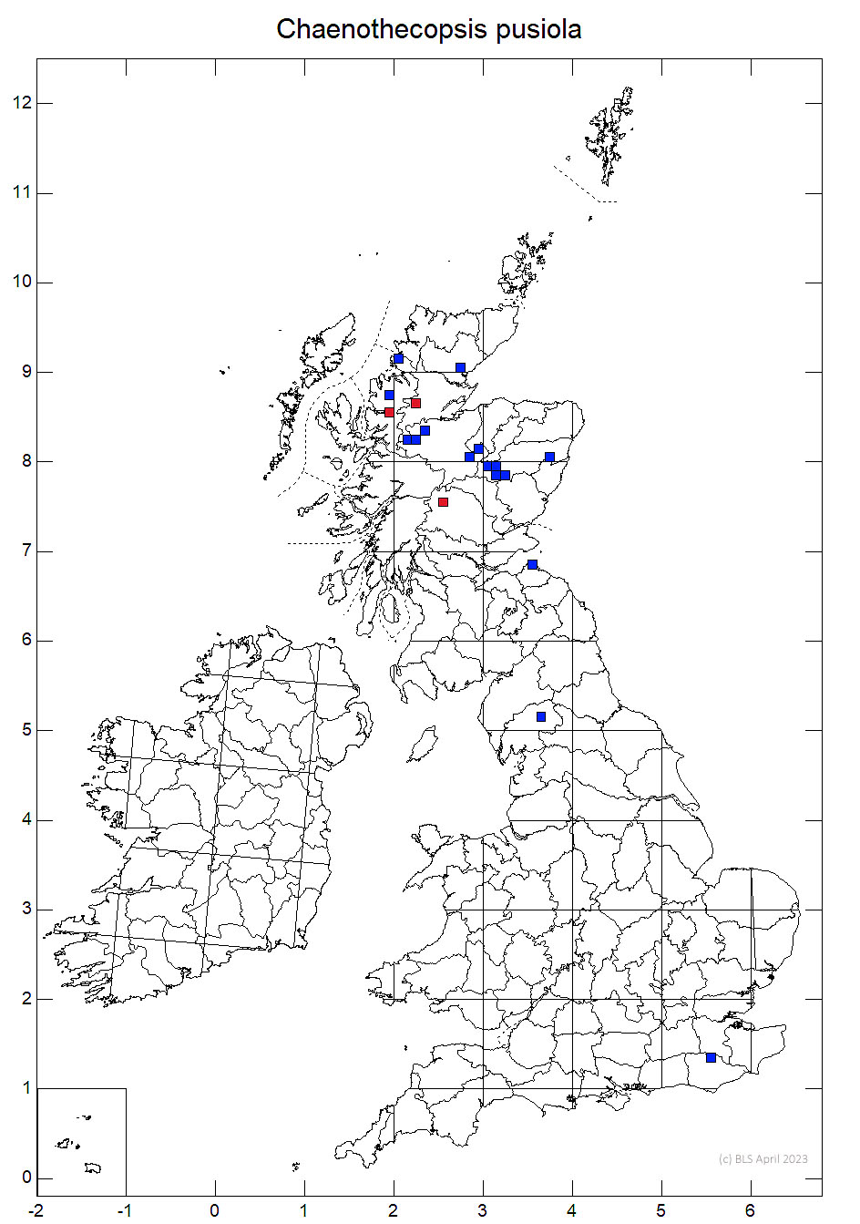 Chaenothecopsis pusiola 10km sq distribution map