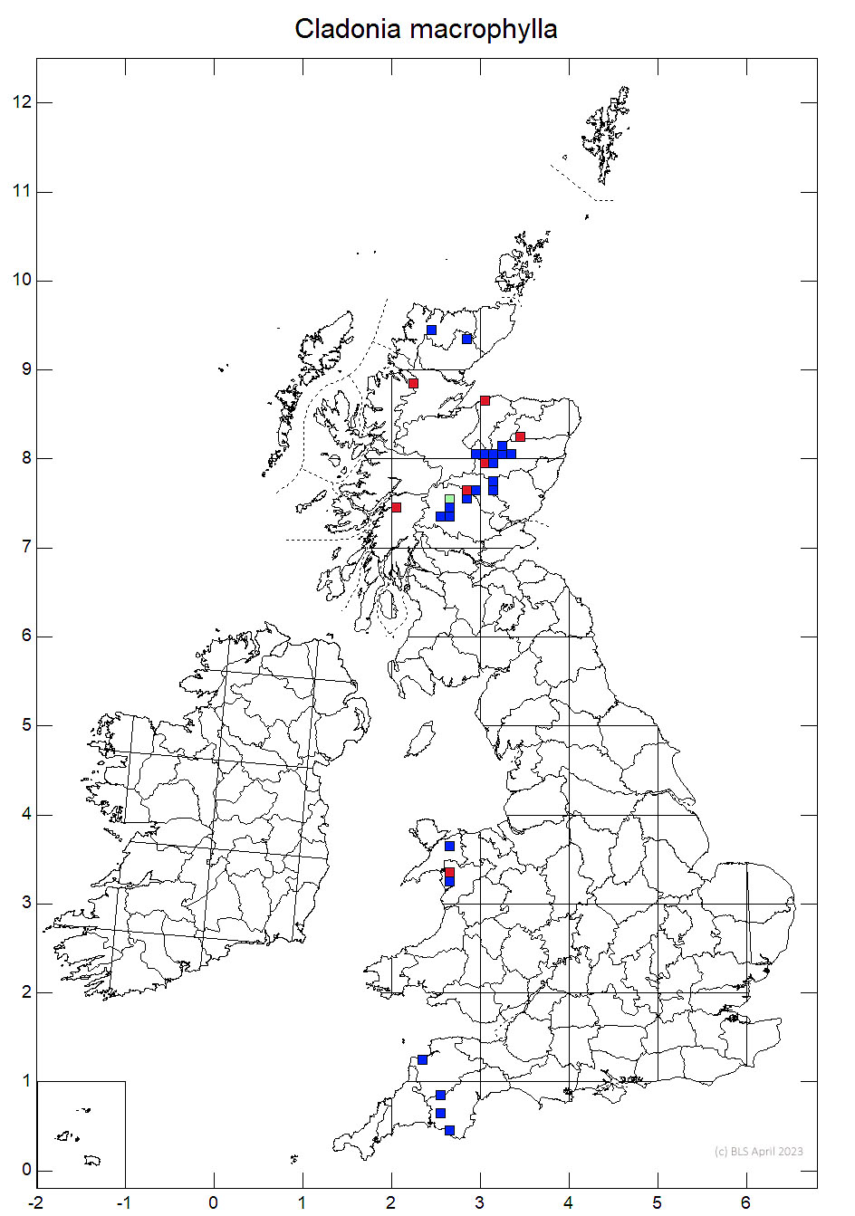Cladonia macrophylla 10km distribution map