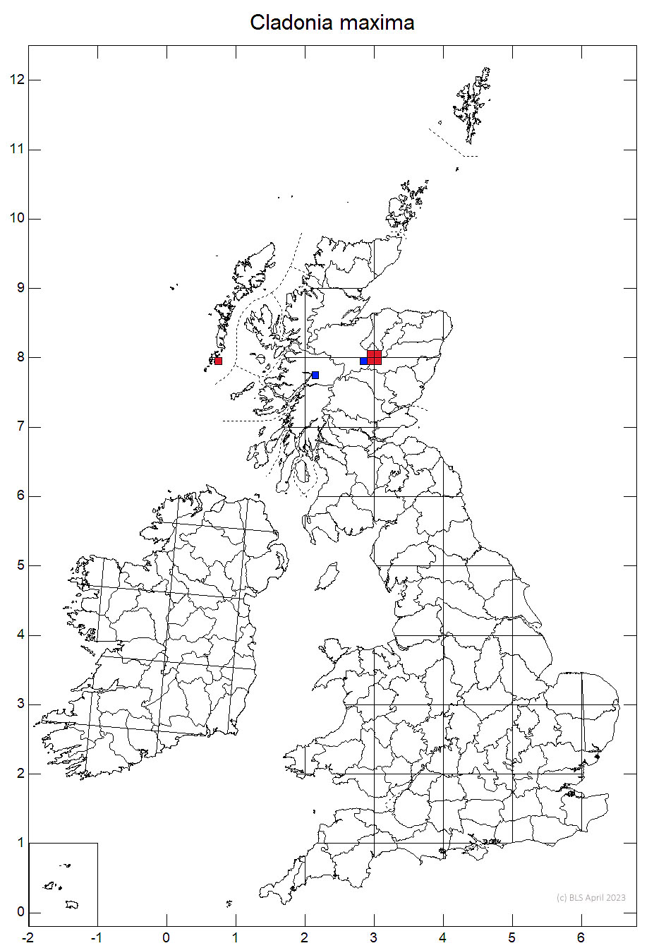 Cladonia maxima 10km sq distribution map