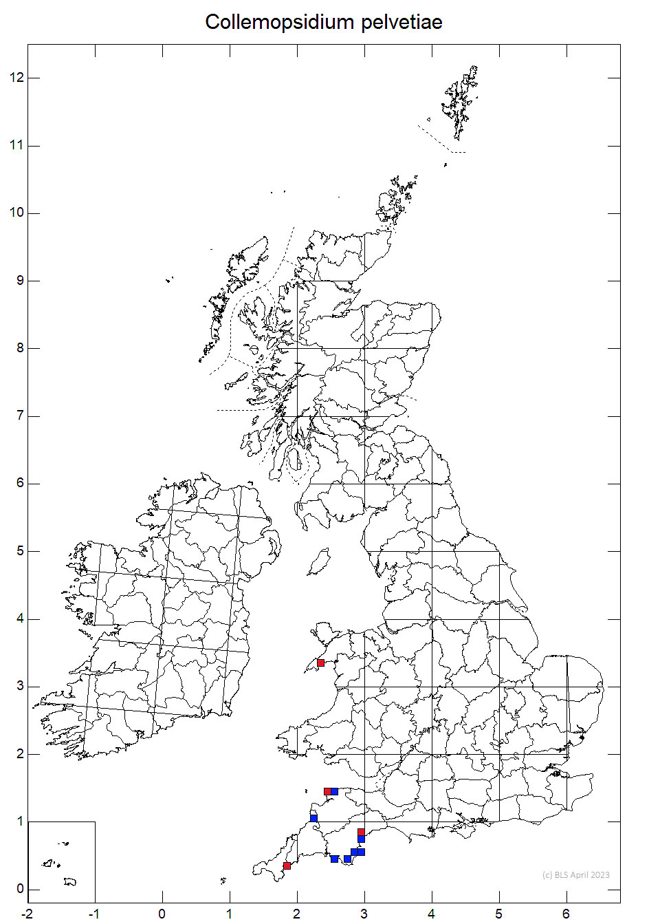 Collemopsidium pelvetiae 10km sq distribution map
