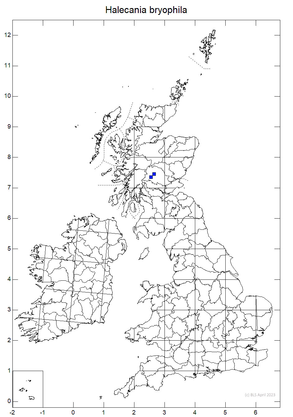 Halecania bryophila 10km sq distribution map