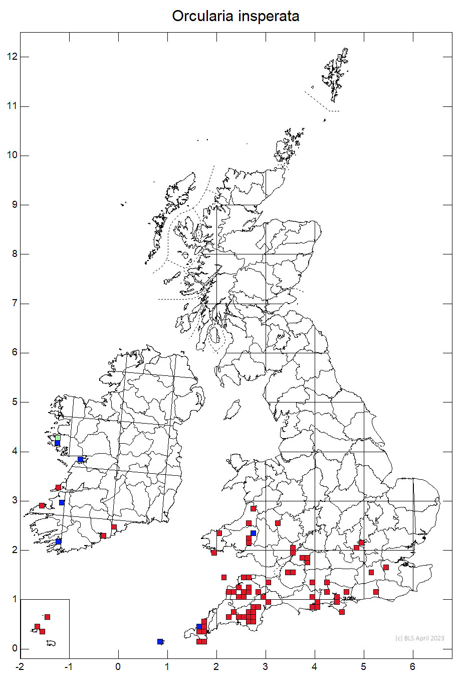 Orcularia insperata 10km distribution map