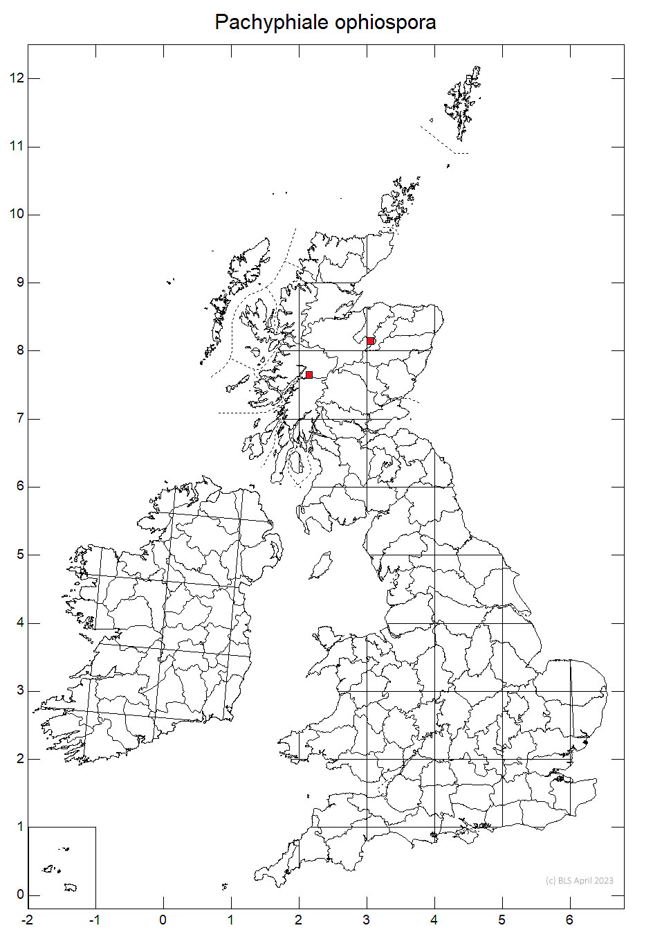 Pachyphiale ophiospora 10km distribution map