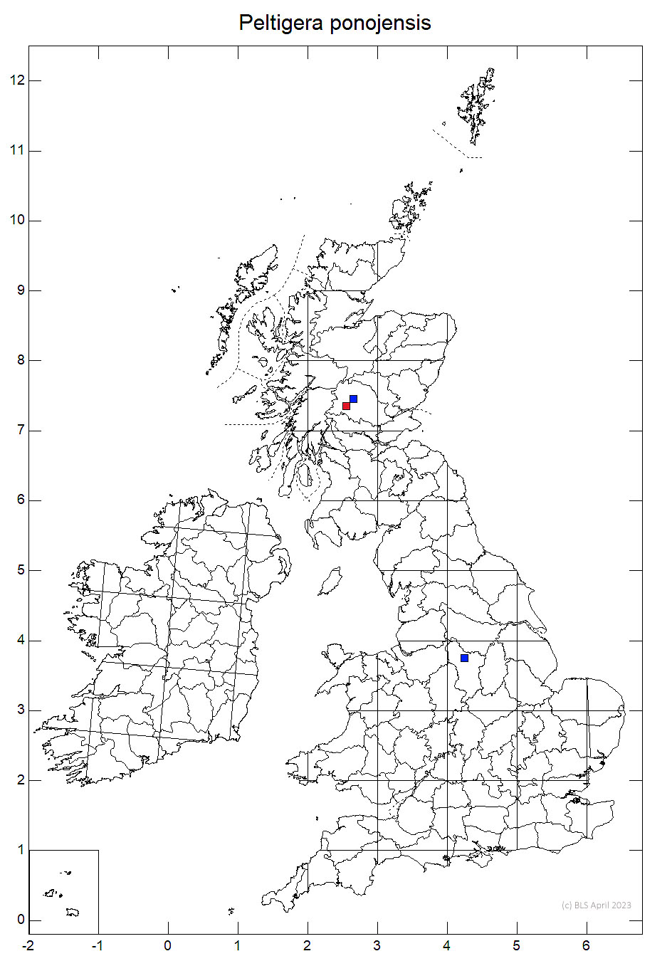 Peltigera ponojensis 10km sq distribution map