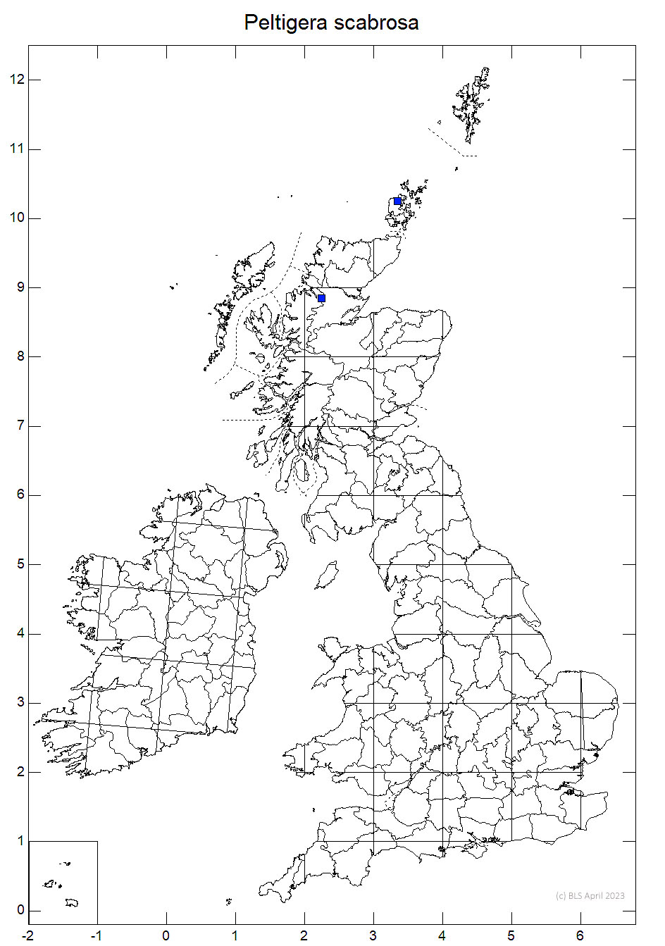 Peltigera scabrosa 10km sq distribution map