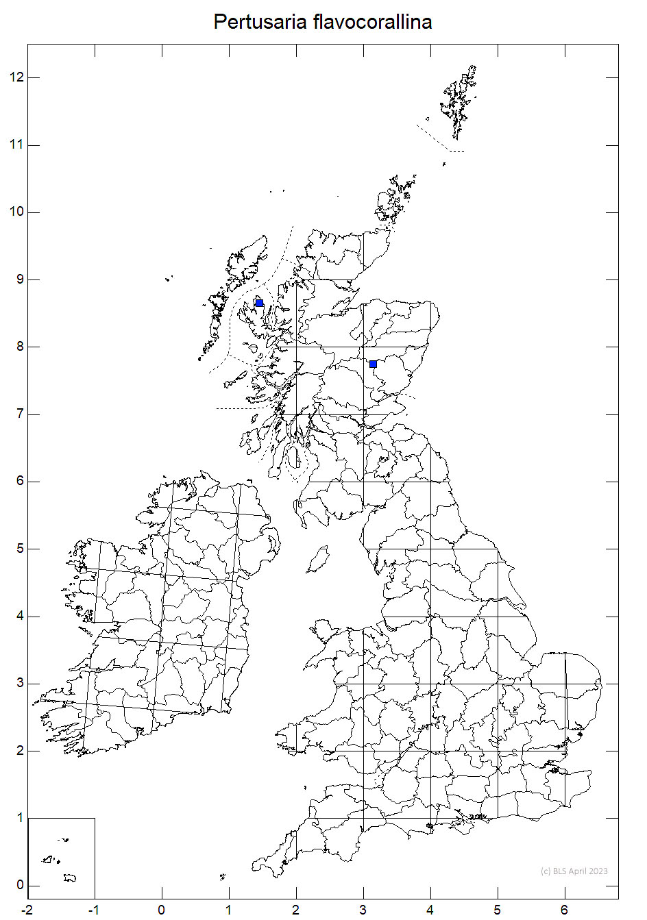 Pertusaria flavocorallina 10km sq distribution map