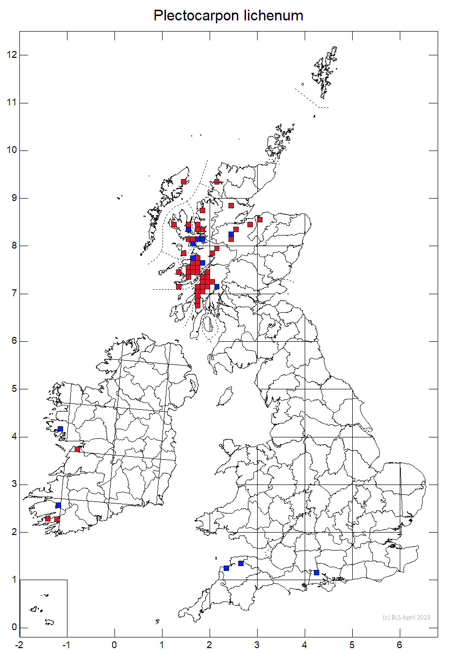Plectocarpon lichenum 10km sq distribution map