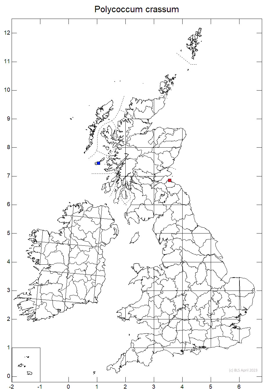 Polycoccum crassum 10km sq distribution map