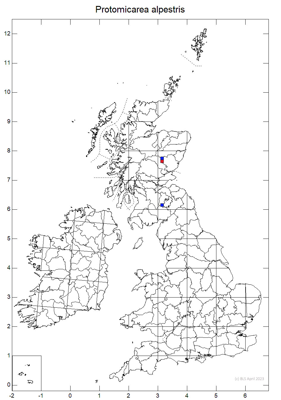 Protomicarea alpestris 10km distribution map