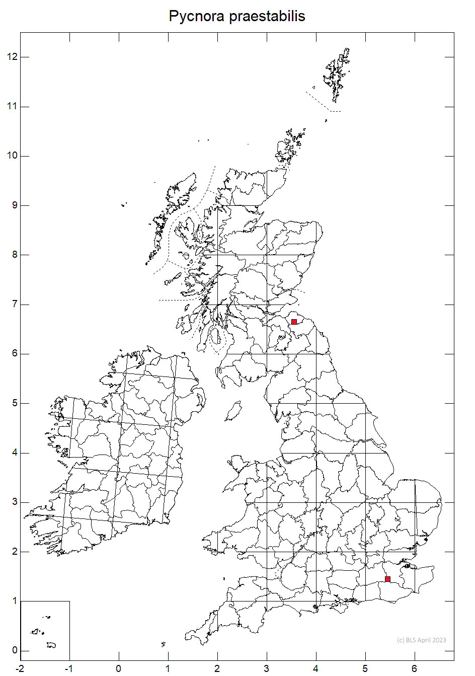 Pycnora praestabilis 10km distribution map