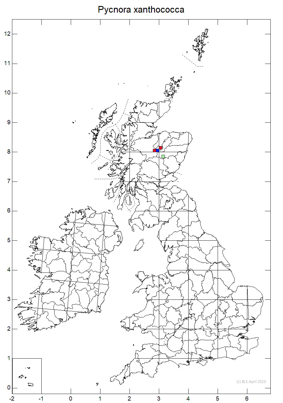 Pycnora xanthococca 10km sq distribution map
