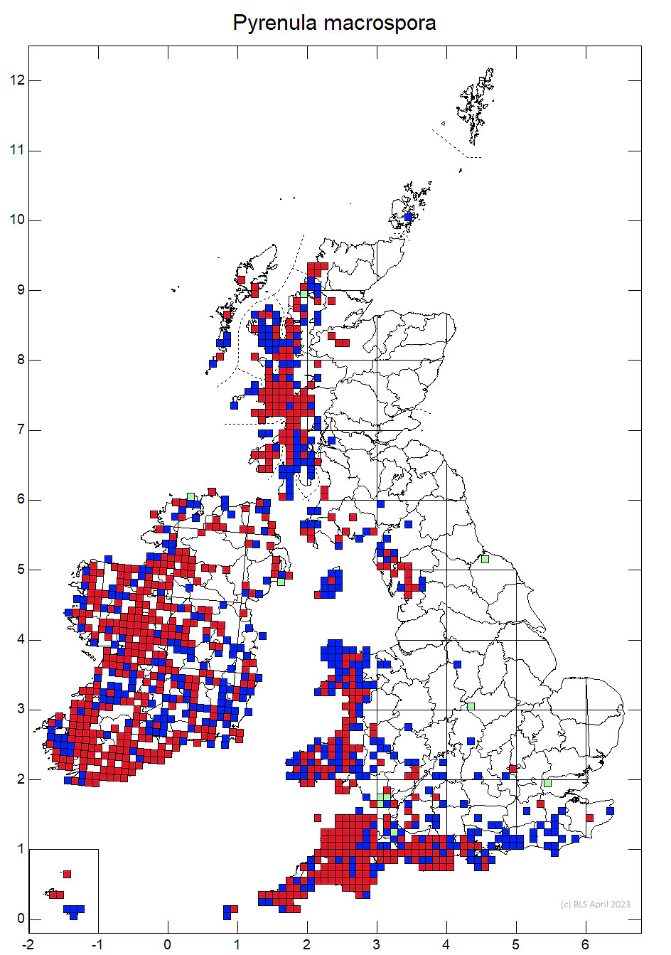 Pyrenula macrospora 10km sq distribution map