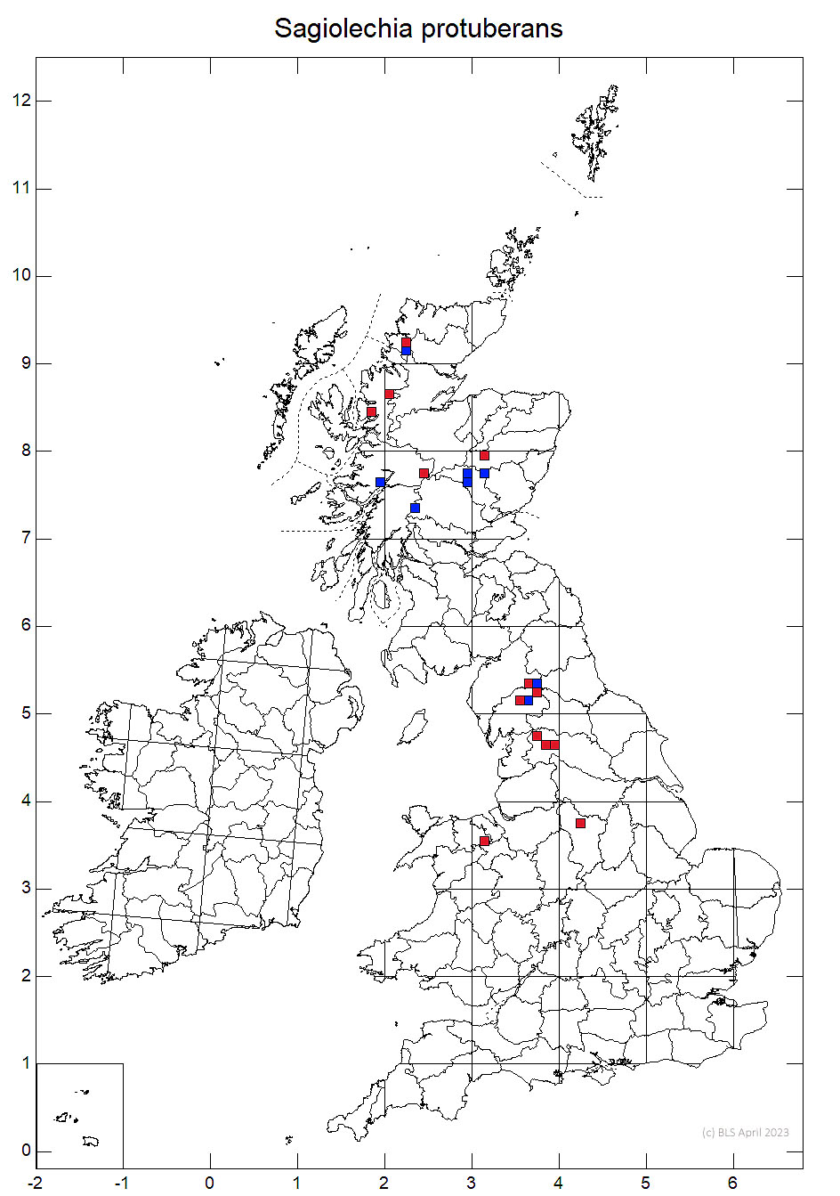 Sagiolechia protuberans 10km sq distribution map
