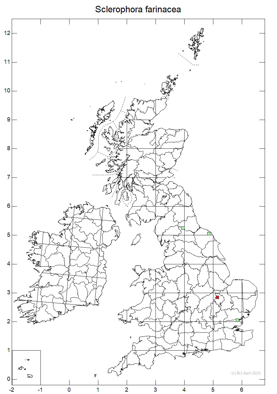 Sclerophora farinacea 10km sq distribution map