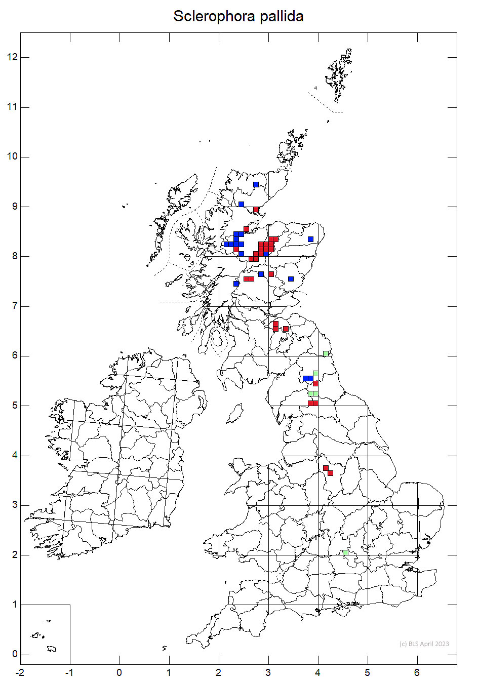 Sclerophora pallida 10km sq distribution map