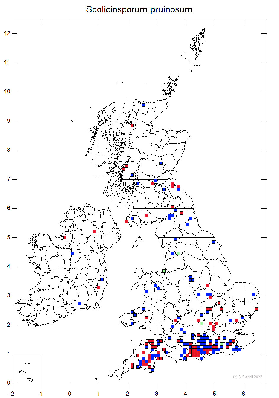 Scoliciosporum pruinosum 10km sq distribution map