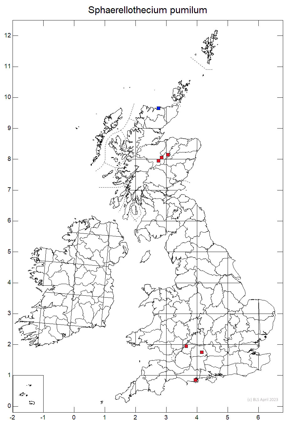 Sphaerellothecium pumilum 10km distribution map