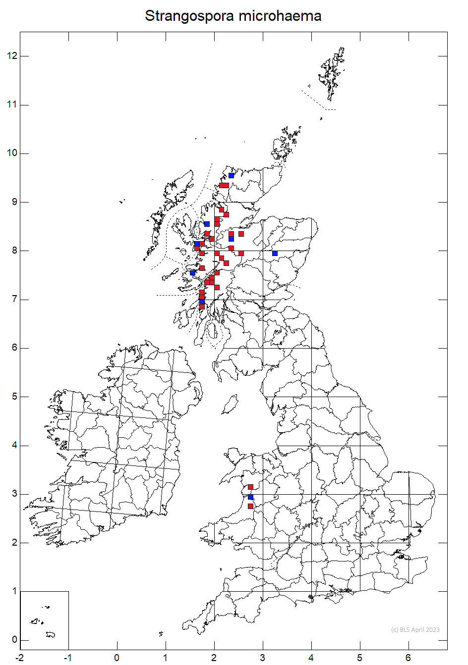 Strangospora microhaema 10km sq distribution map