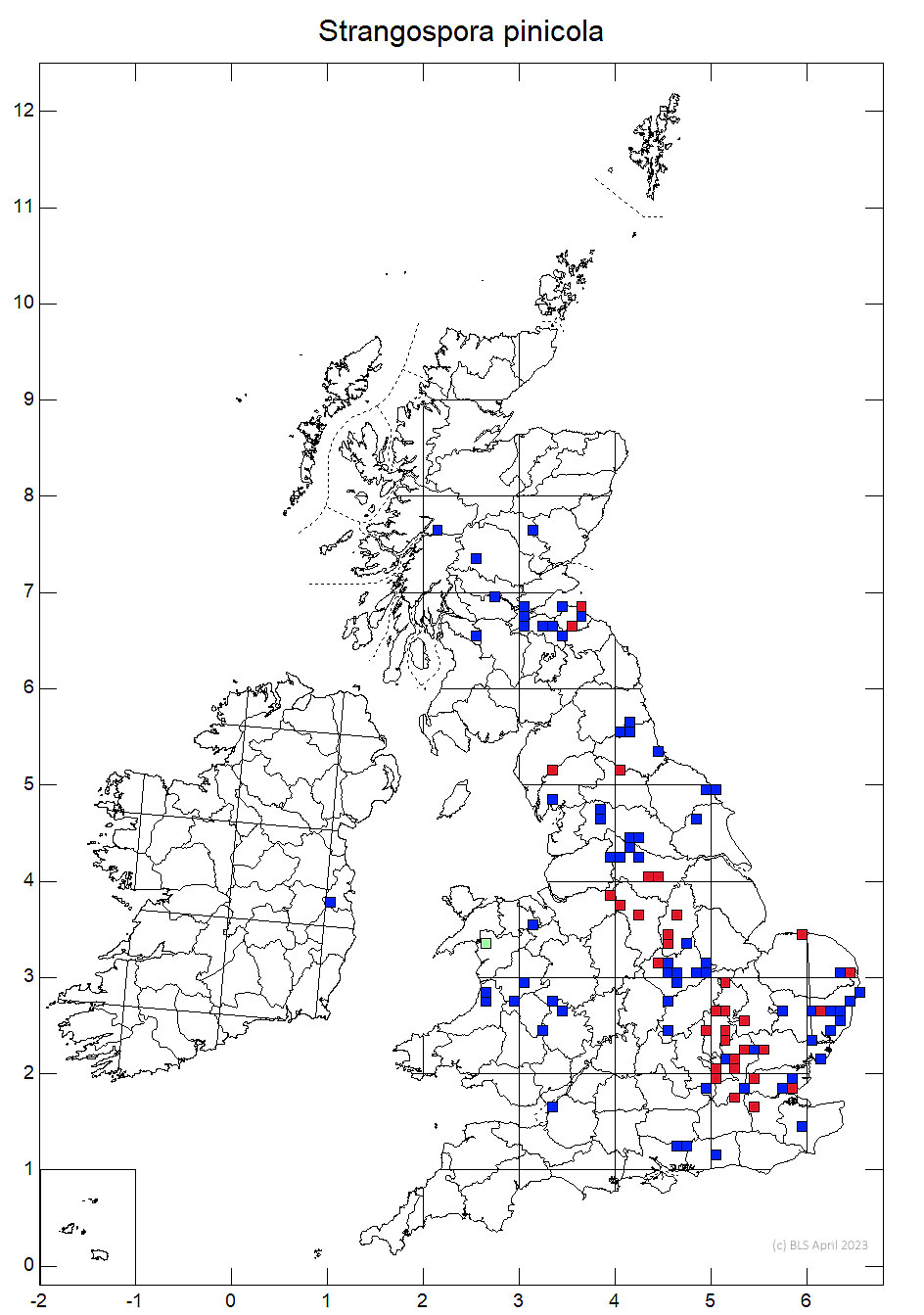 Strangospora pinicola 10km sq distribution data