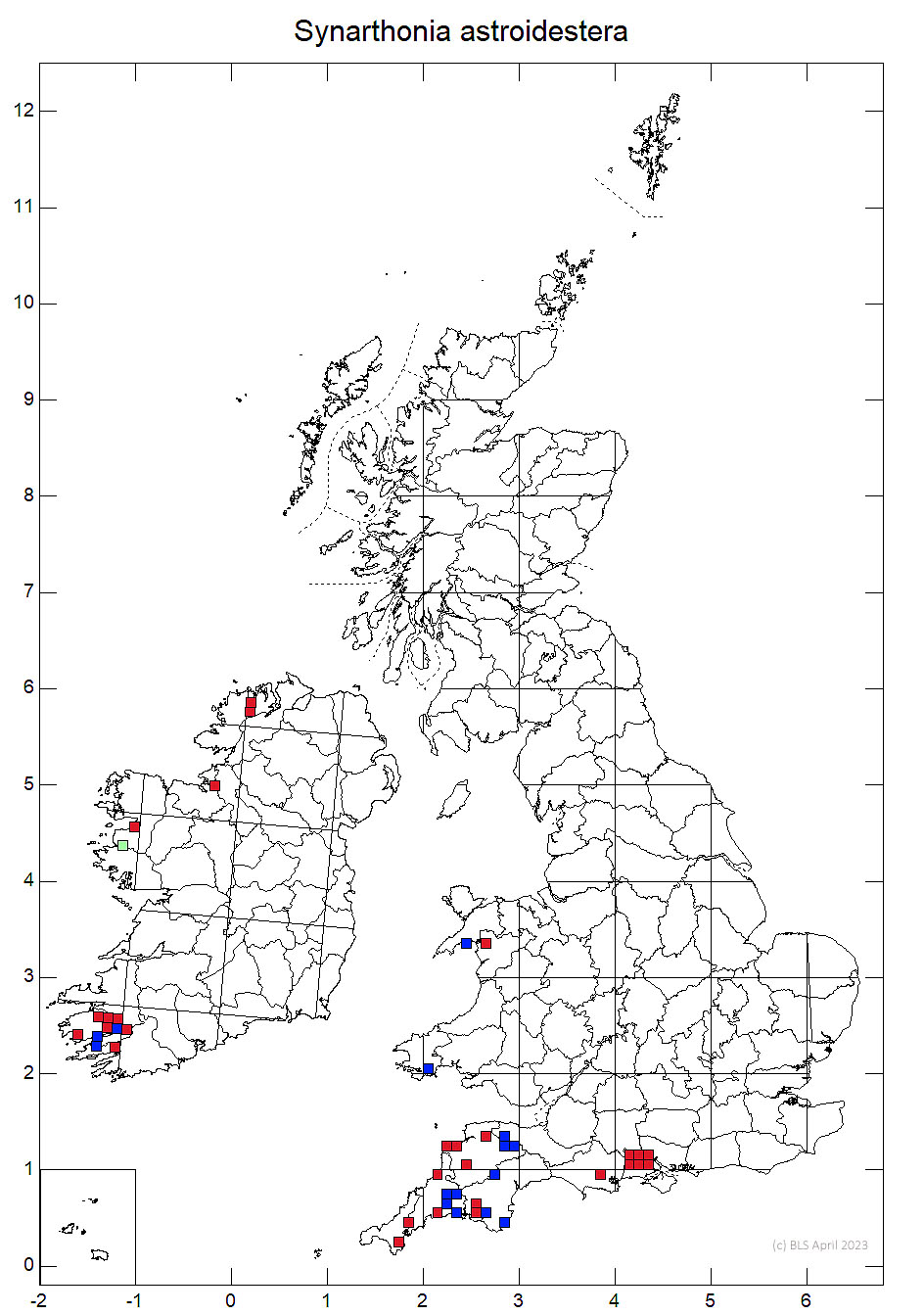 Synarthonia astroidestera 10km distribution map