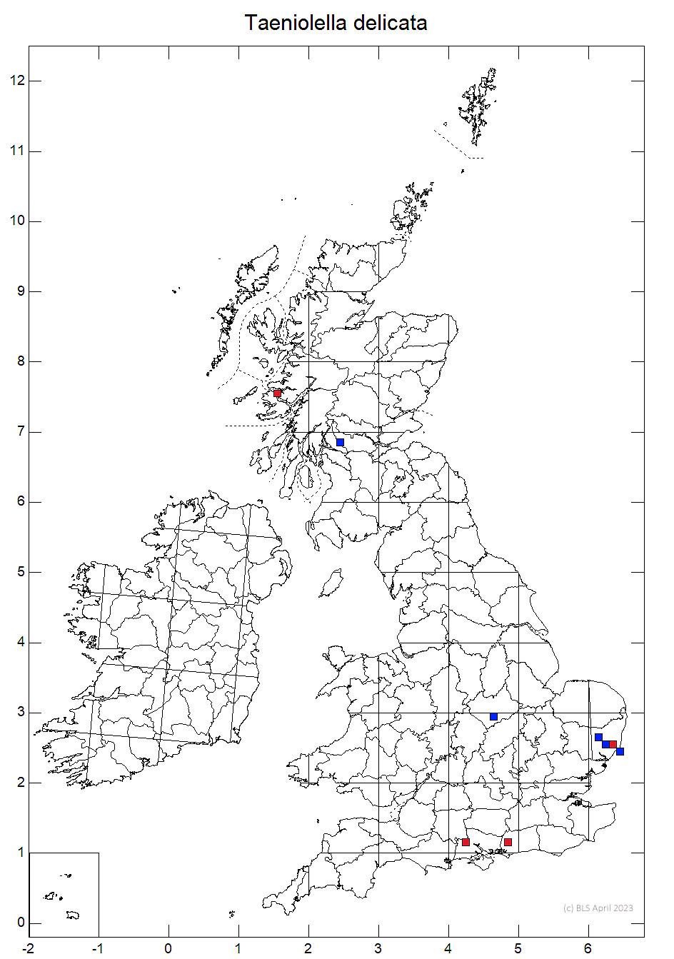 Taeniolella delicata 10km sq distribution map