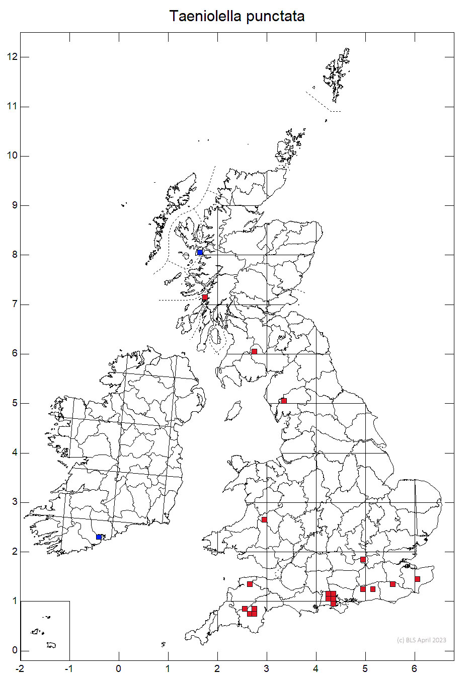 Taeniolella punctata 10km sq distribution map