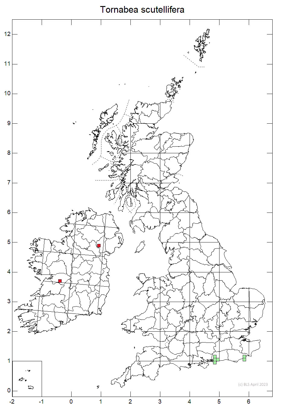 Tornabea scutellifera 10km sq distribution map