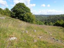 limestone exposures in short grassland above the Via Gellia woodlands