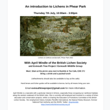 Poster for Phaer Park Lichen walk